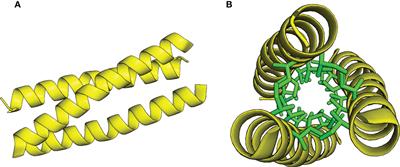 A trimeric coiled-coil motif binds bacterial lipopolysaccharides with picomolar affinity